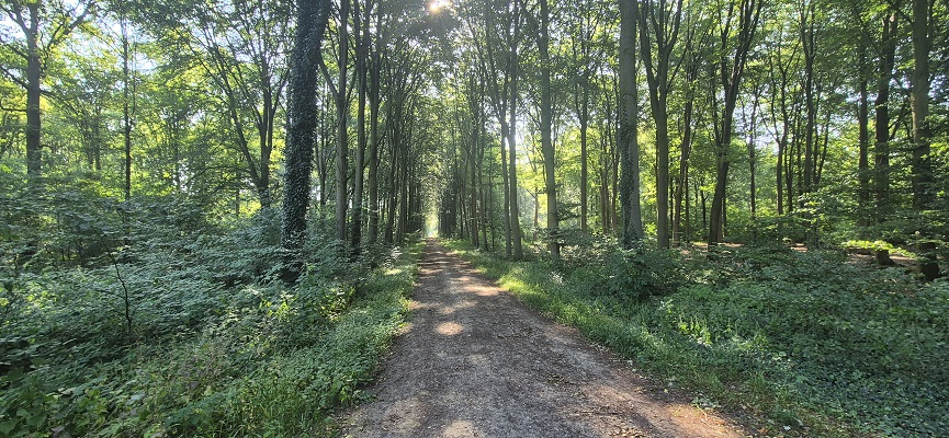 Wandeling over Trage Tocht Hoog-Keppel op landgoed Keppel
