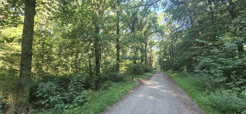 Wandeling over Trage Tocht Hoog-Keppel op landgoed Keppel