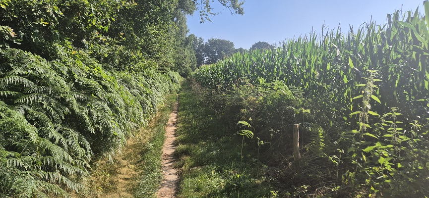 Wandeling over Trage Tocht Hoog-Keppel op landgoed Keppel
