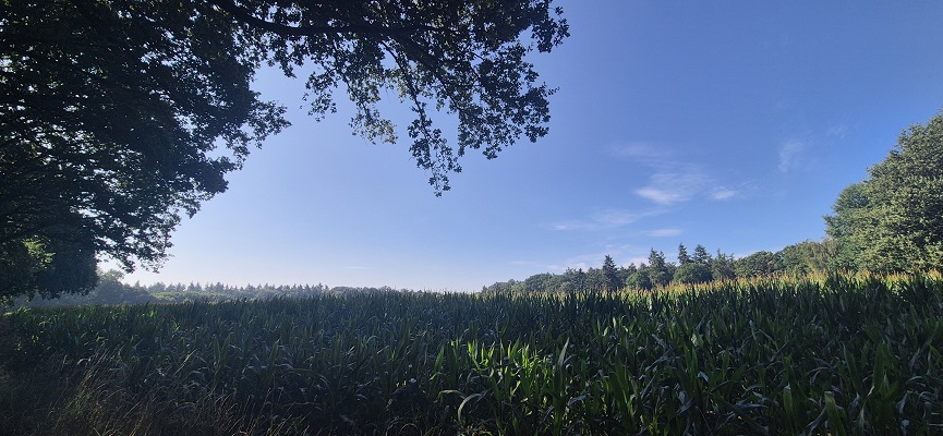 Wandeling over Trage Tocht Hoog-Keppel op landgoed Keppel
