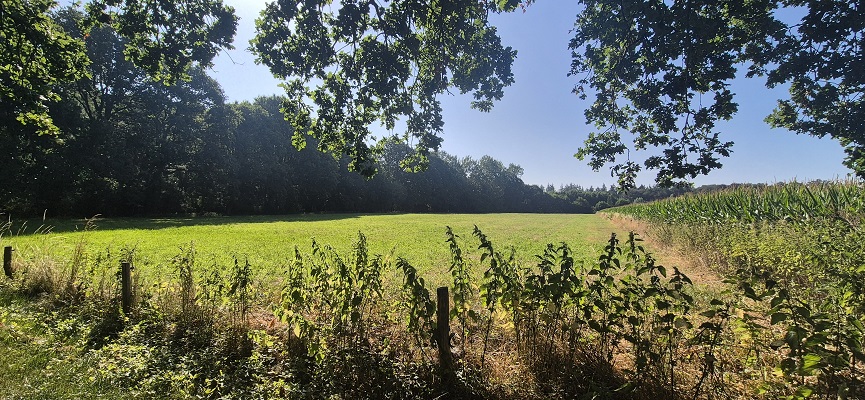 Wandeling over Trage Tocht Hoog-Keppel op landgoed Keppel