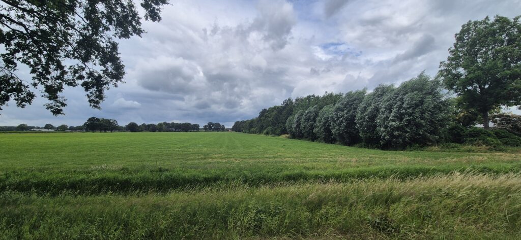 trage-tocht-huize-ruurlo-13 Wandeling over Trage Tocht Huize Ruurlo