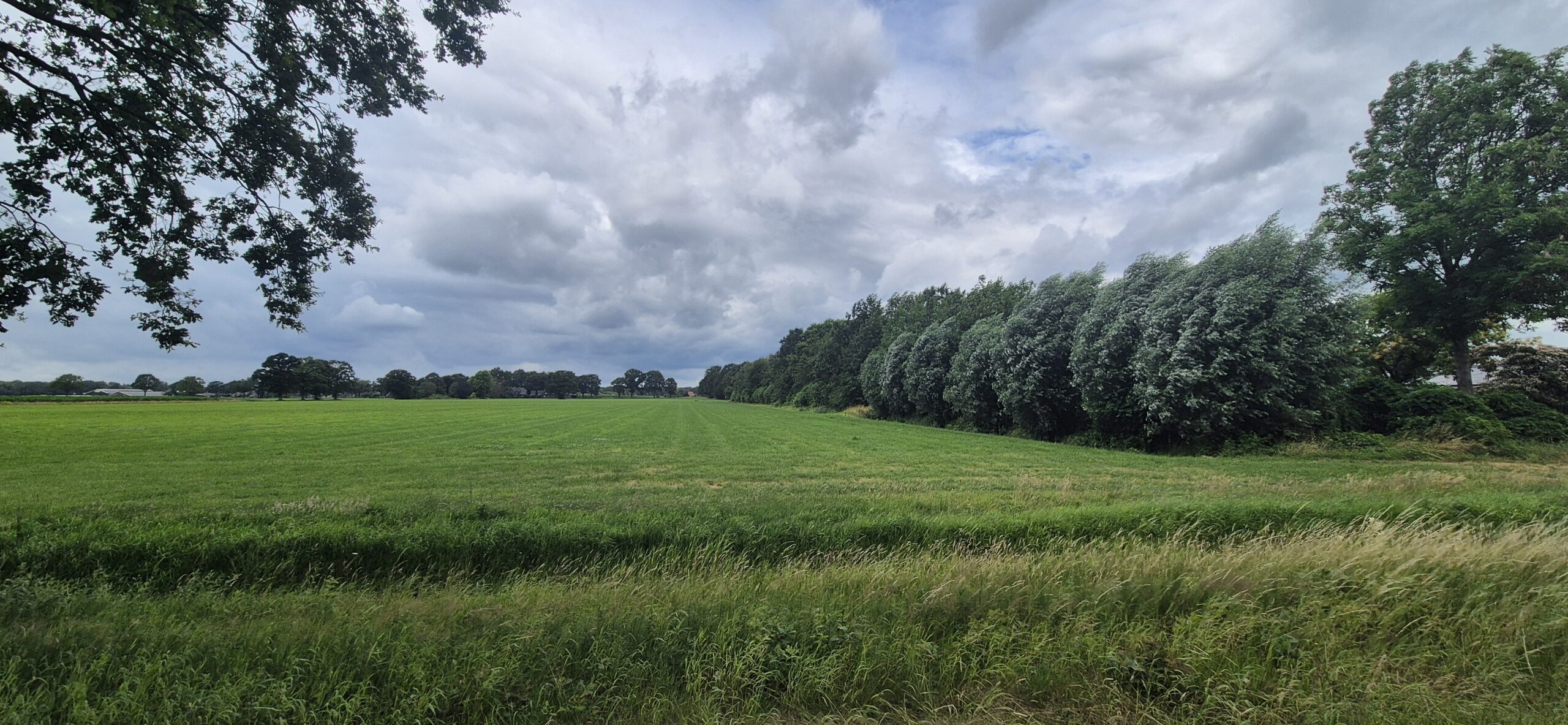 Wandeling over Trage Tocht Huize Ruurlo