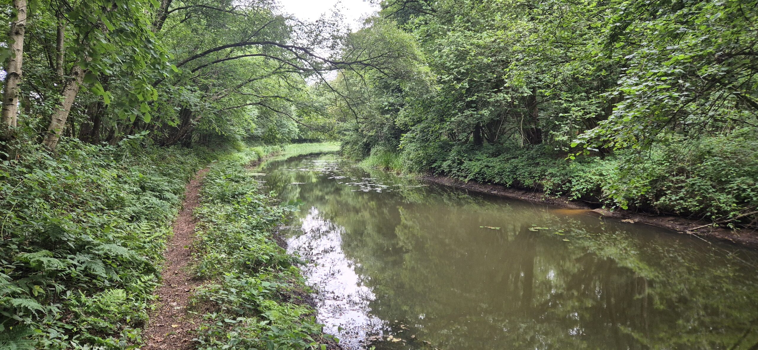 Wandeling over Trage Tocht Huize Ruurlo bij de Van Heeckerenbeek
