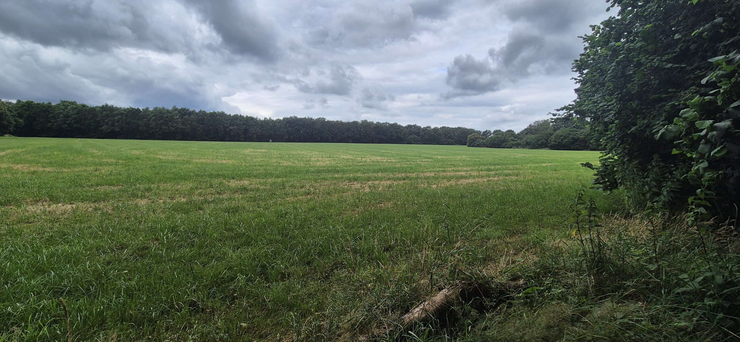 Wandeling over Trage Tocht Huize Ruurlo