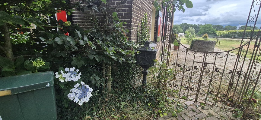 Wandeling over Trage Tocht Huize Ruurlo