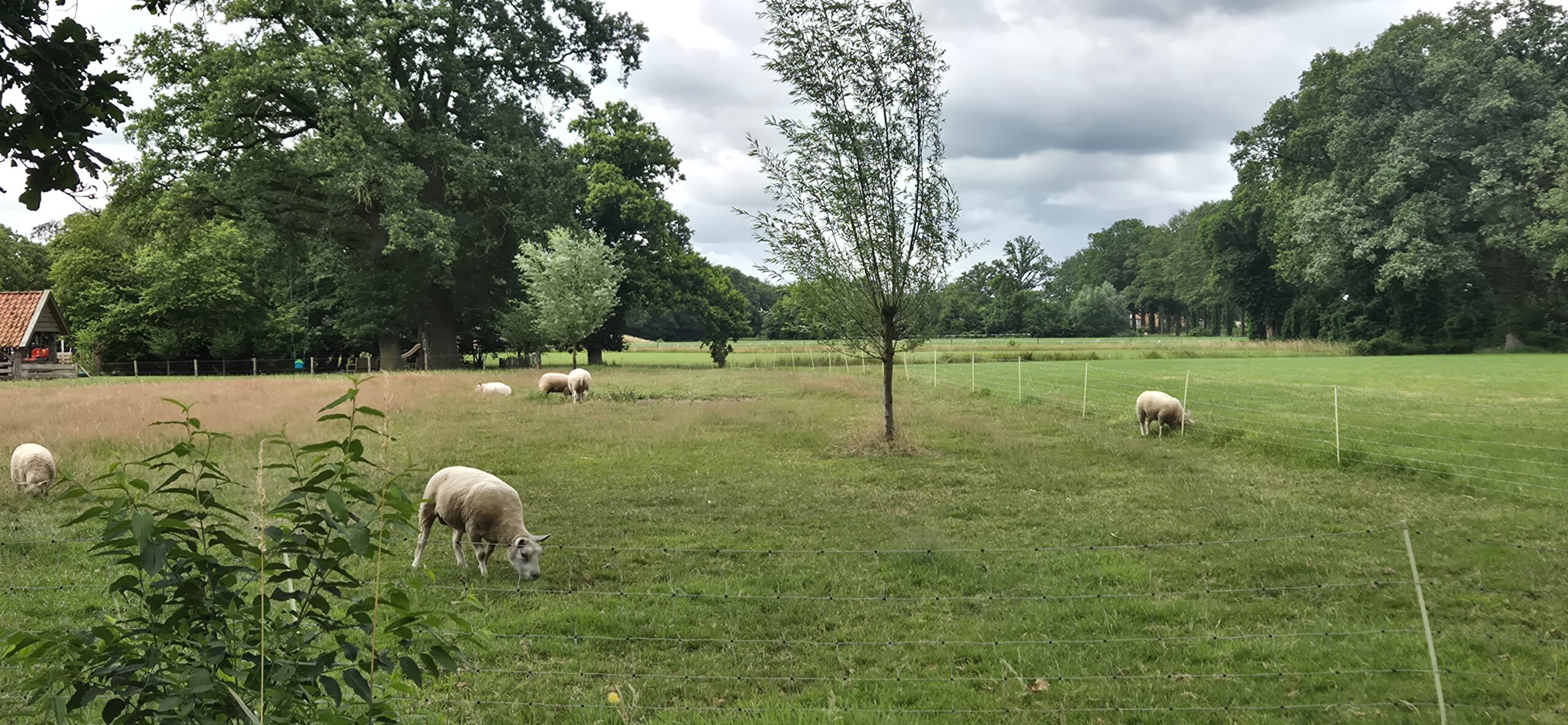 Wandeling over Trage Tocht Huize Ruurlo