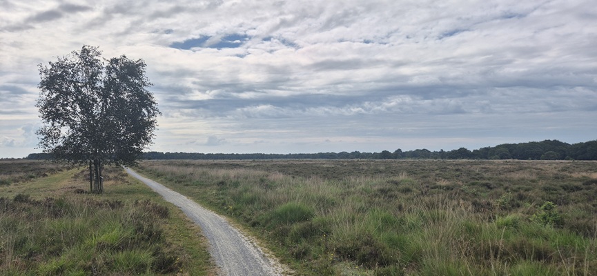 Wandeling over Trage Tocht Peest op het Noordsche Veld