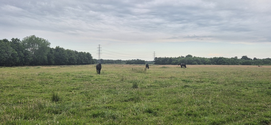 trage-tocht-peest-24 Wandeling over Trage Tocht Peest
