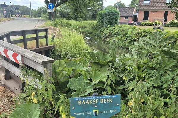 Wandeling over Trage Tocht Ruurlo-Vorden bij de Baaksche Beek