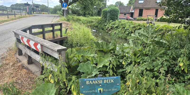 Wandeling over Trage Tocht Ruurlo-Vorden bij de Baaksche Beek