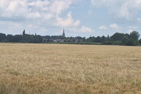 Wandeling over Trage Stadse Tocht Steenwijk op de Steenwijker Kamp