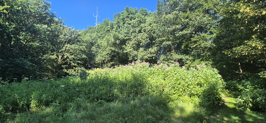 trage-tocht-veenhuizen-11