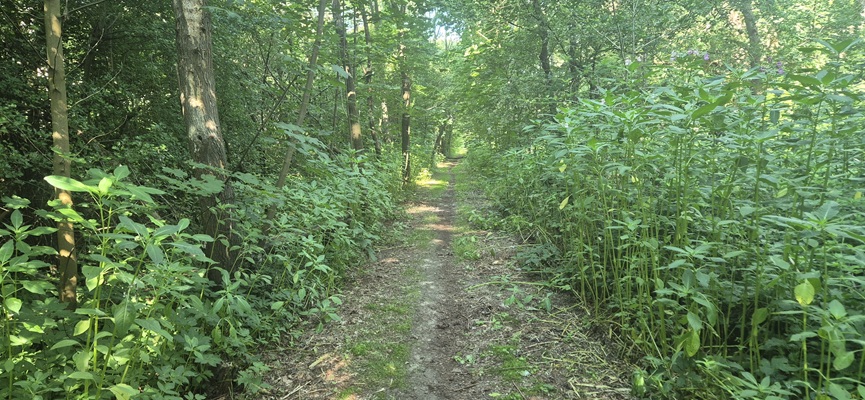 trage-tocht-veenhuizen-12