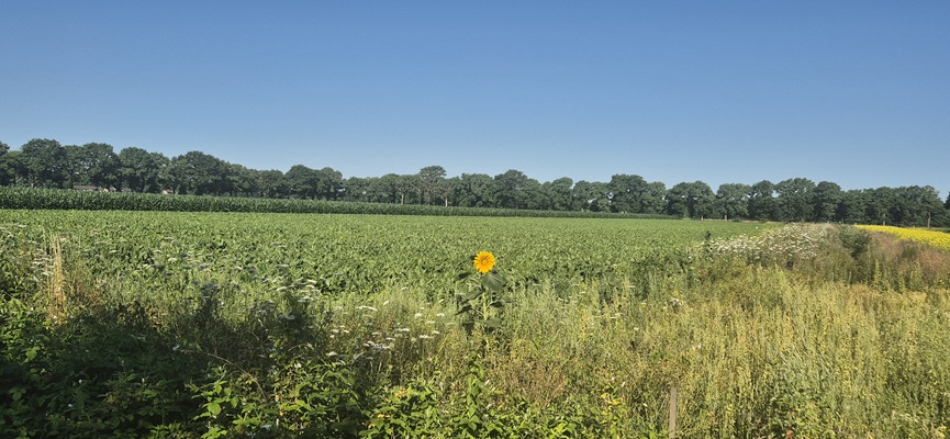 Wandeling over Trage Tocht Veenhuizen in het beekdal van de Stokkert