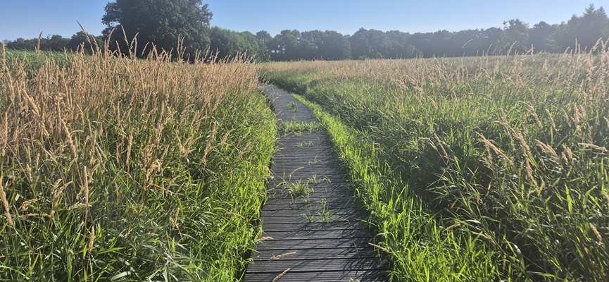 Wandeling over Trage Tocht Veenhuizen in het beekdal van de Stokkert