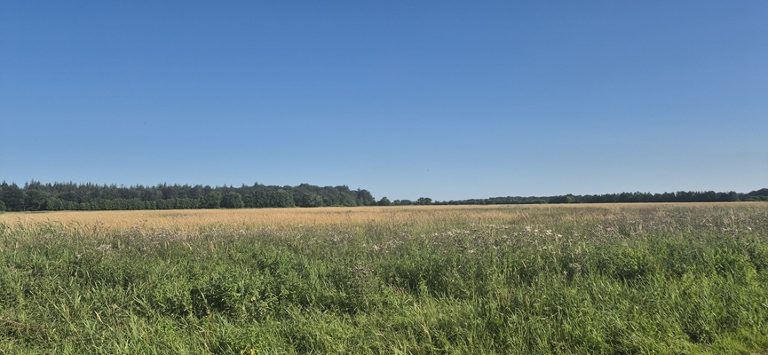 Wandeling over Trage Tocht Veenhuizen in het beekdal van de Stokkert