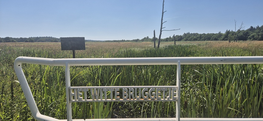 Wandeling over Trage Tocht Veenhuizen in het beekdal van de Stokkert bij het Witte Bruggetje