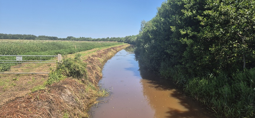 Wandeling over Trage Tocht Veenhuizen in het beekdal van de Stokkert