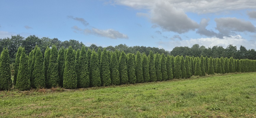 trage-tocht-winterswijk-corle-4 Wandeling over Trage Tocht Winterswijk Corle