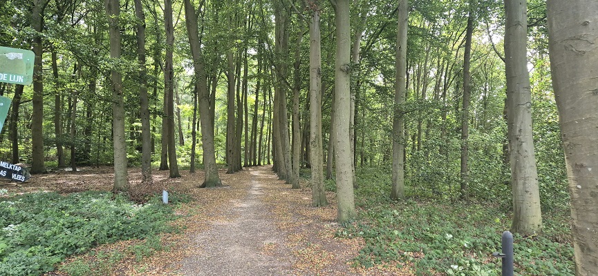 Wandeling over Stadse Trage Tocht Doesburg