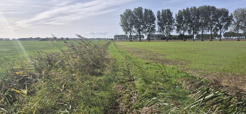 klompenpad-giesepad-10 Wandeling over het Klompenpad het Giesepad