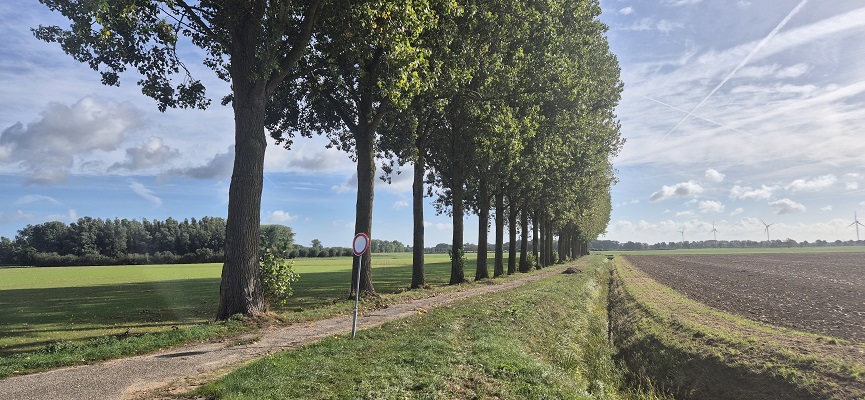 Wandeling over het Klompenpad het Giesepad