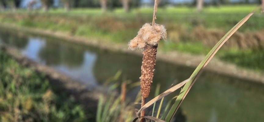 Wandeling over het Klompenpad het Giesepad bij de Wijde Wetering