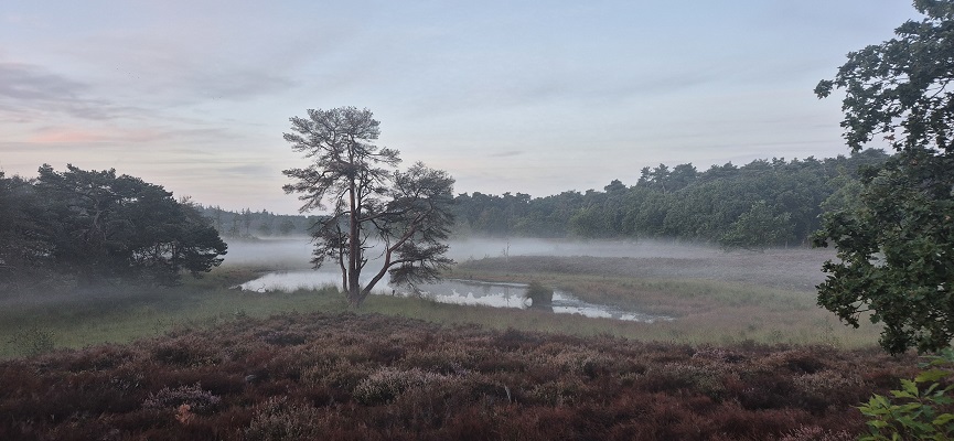Wandeling over Knopenrondje Hatertse en Overasseltse Vennen