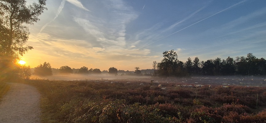 Wandeling over Knopenrondje Hatertse en Overasseltse Vennen