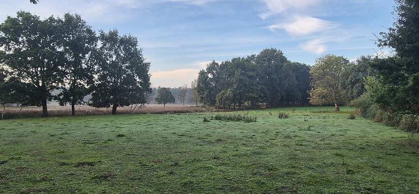 Wandeling over Knopenrondje Hatertse en Overasseltse Vennen