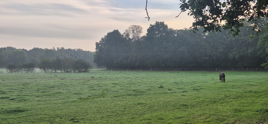 Wandeling over Knopenrondje Hatertse en Overasseltse Vennen