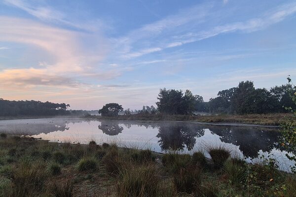 Wandeling over Knopenrondje Hatertse en Overasseltse Vennen