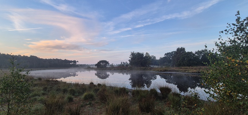 Wandeling over Knopenrondje Hatertse en Overasseltse Vennen