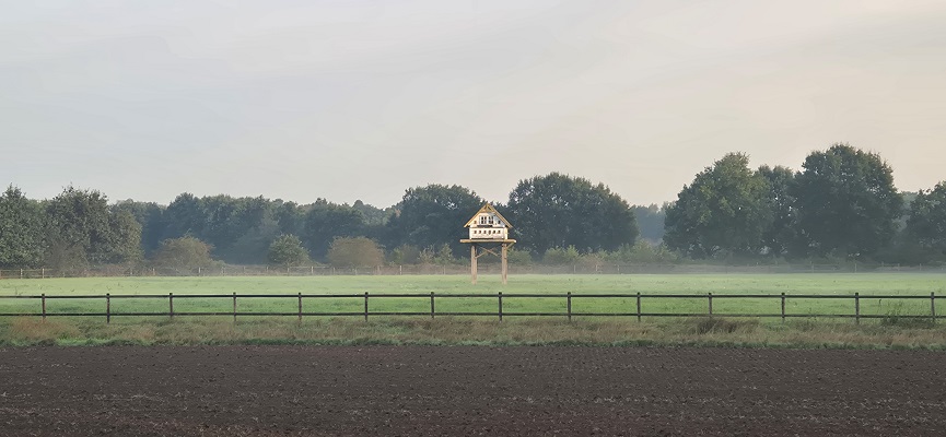 Wandeling over Knopenrondje Hatertse en Overasseltse Vennen