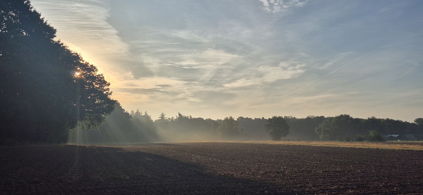 Wandeling over Knopenrondje Hatertse en Overasseltse Vennen