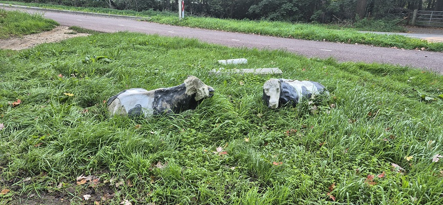 Wandeling over Knopenrondje Hatertse en Overasseltse Vennen