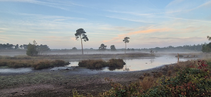 Wandeling over Knopenrondje Hatertse en Overasseltse Vennen