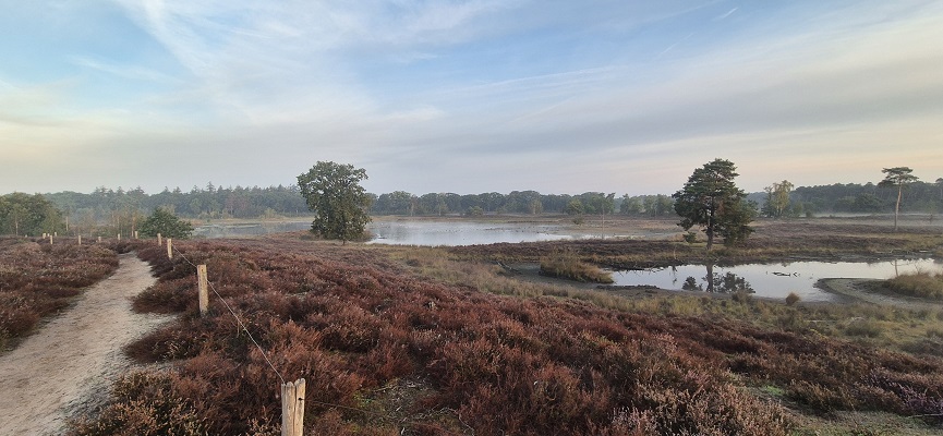 Wandeling over Knopenrondje Hatertse en Overasseltse Vennen