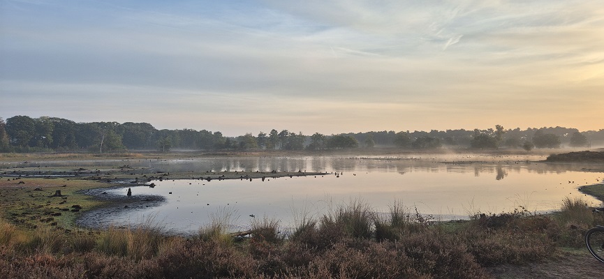 Wandeling over Knopenrondje Hatertse en Overasseltse Vennen