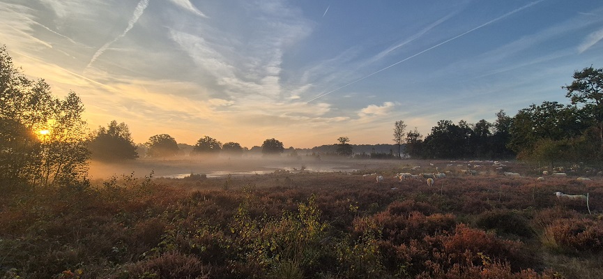 Wandeling over Knopenrondje Hatertse en Overasseltse Vennen