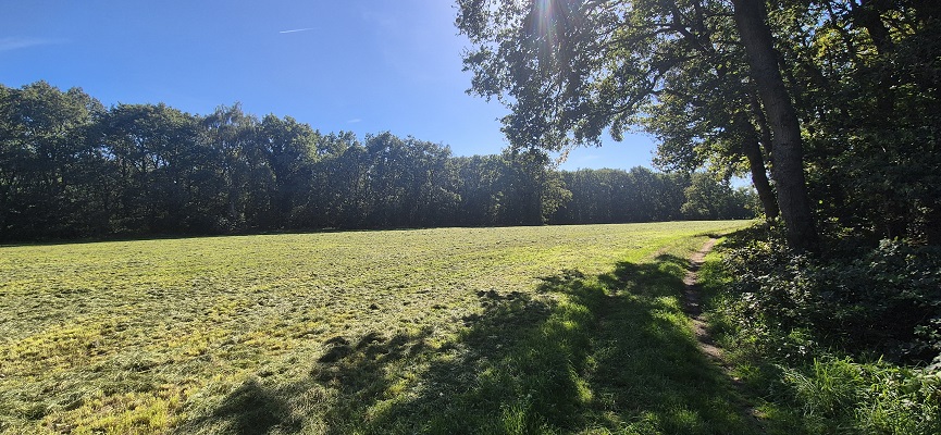 Wandeling over Knopenrondje Landgoed den Berg in Dalfsen