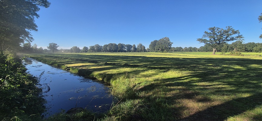 Wandeling over Knopenrondje Landgoed den Berg in Dalfsen