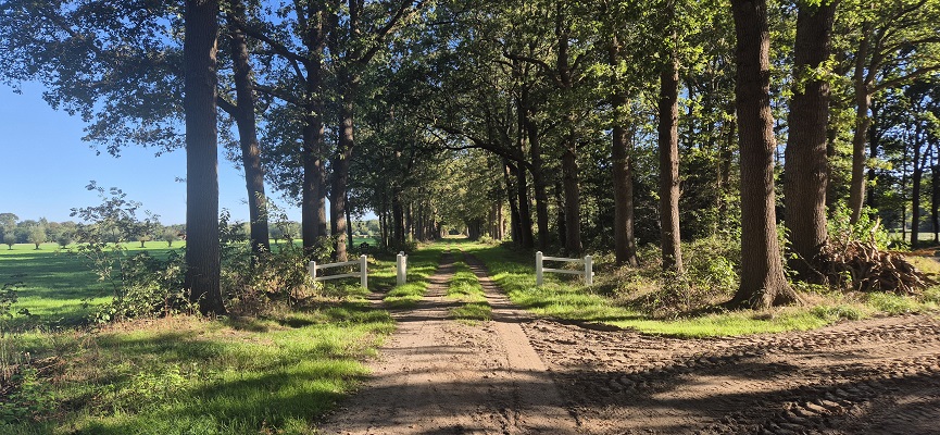 Wandeling over Knopenrondje Landgoed den Berg in Dalfsen
