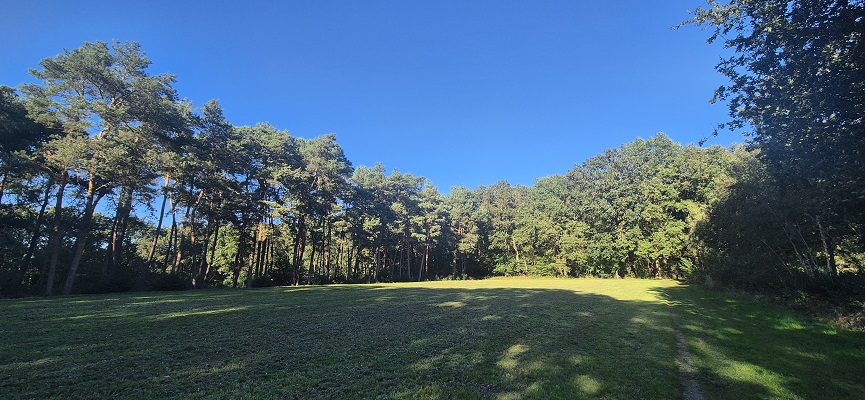 Wandeling over Knopenrondje Landgoed den Berg in Dalfsen