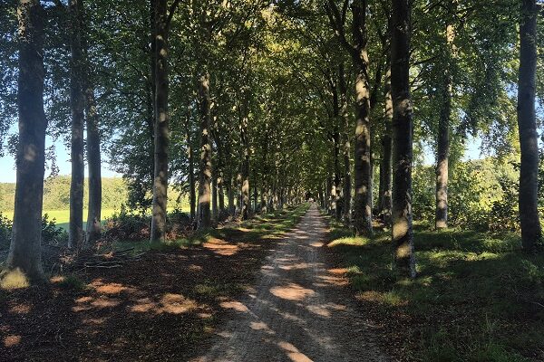 Wandeling over Knopenrondje Landgoed den Berg in Dalfsen