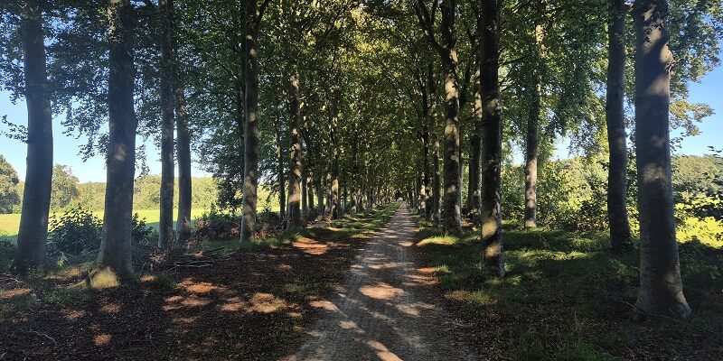 Wandeling over Knopenrondje Landgoed den Berg in Dalfsen