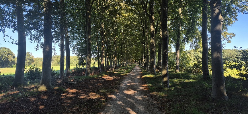 Wandeling over Knopenrondje Landgoed den Berg in Dalfsen