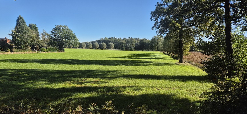 Wandeling over Knopenrondje Landgoed den Berg in Dalfsen