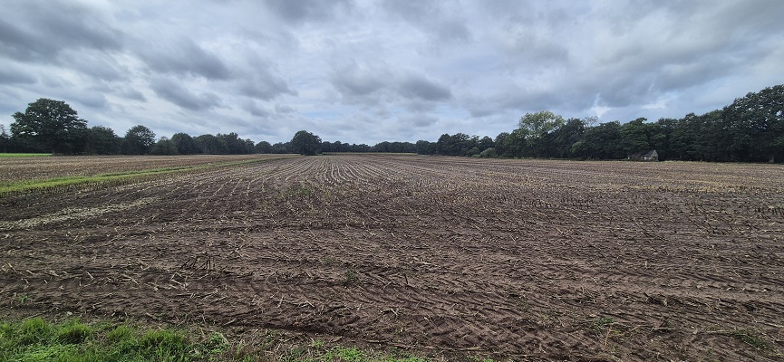Wandeling over Trage Tocht Aalten